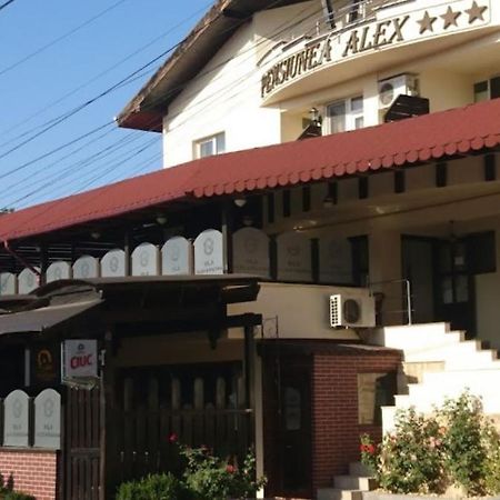 Vila Alex&Razvan Tulcea Esterno foto